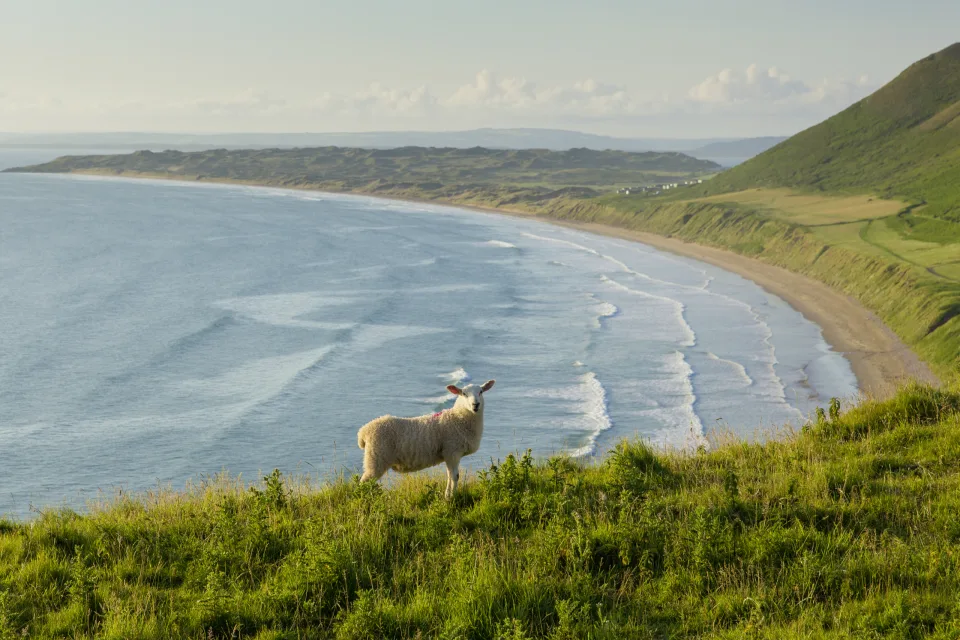 Gower Halbinsel