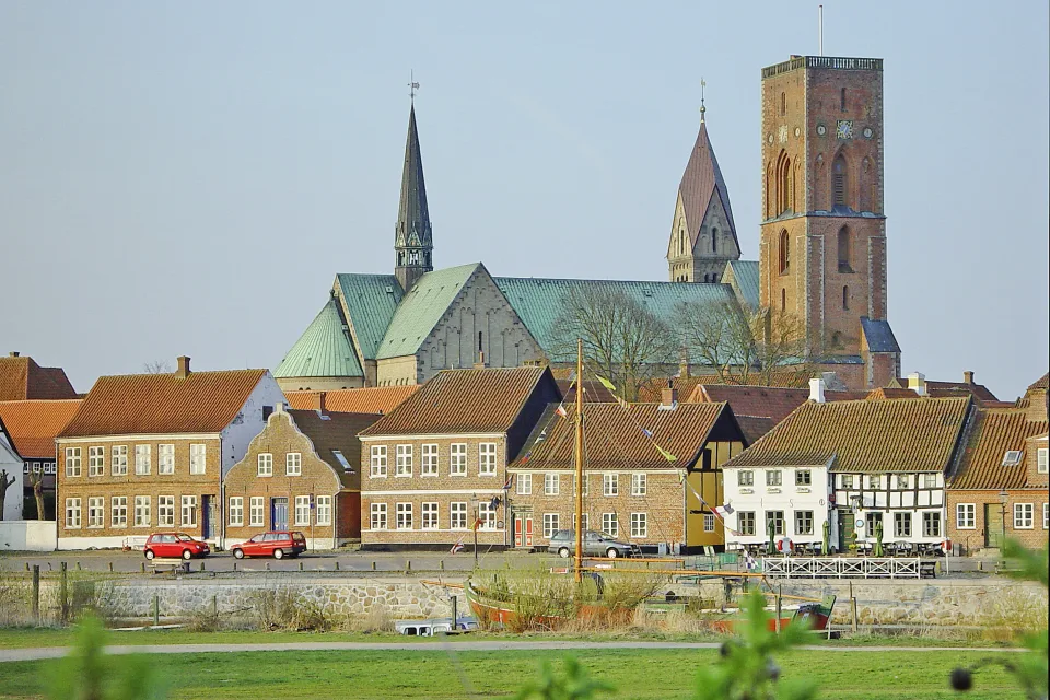 Ribe