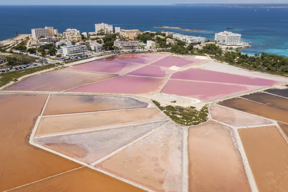 Ses Salines