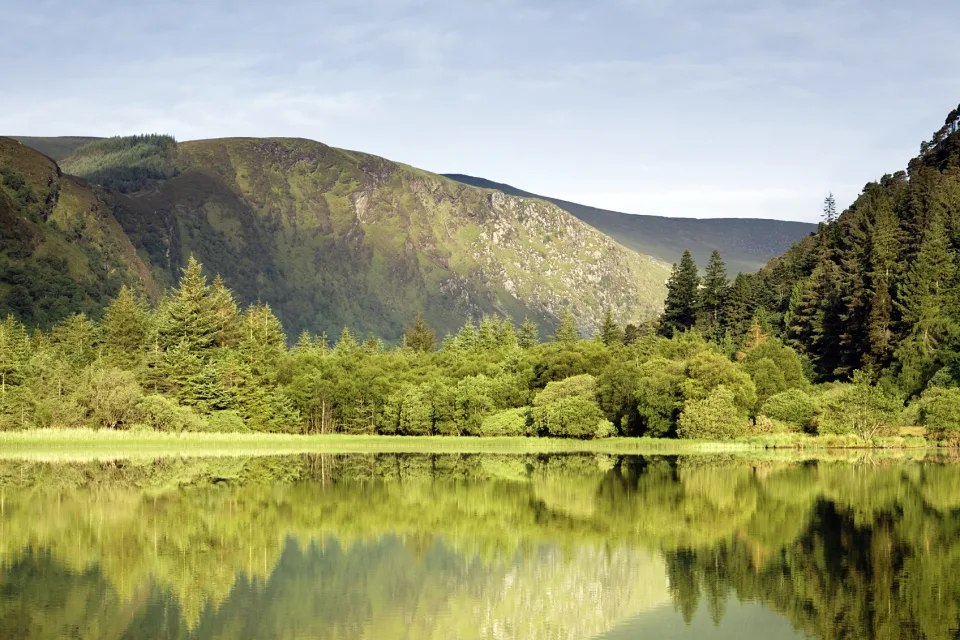 Wicklow