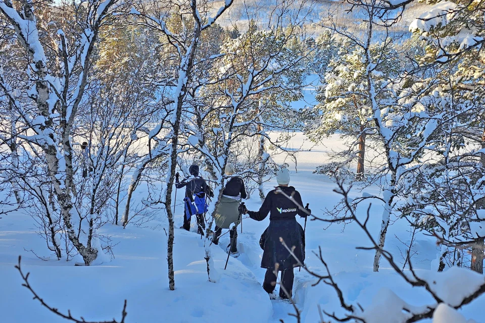 Bjørnfjell Mountain Lodge