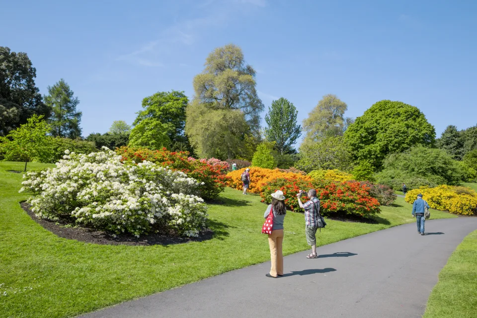 The Royal Botanic Garden, Edinburgh