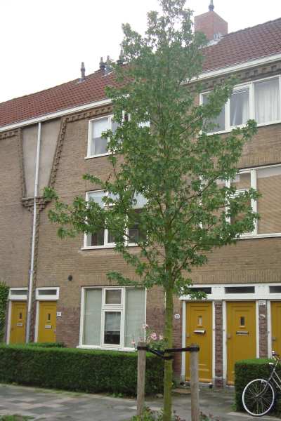 A.P. Fokkerstraat 20, 9713 JL Groningen, Nederland