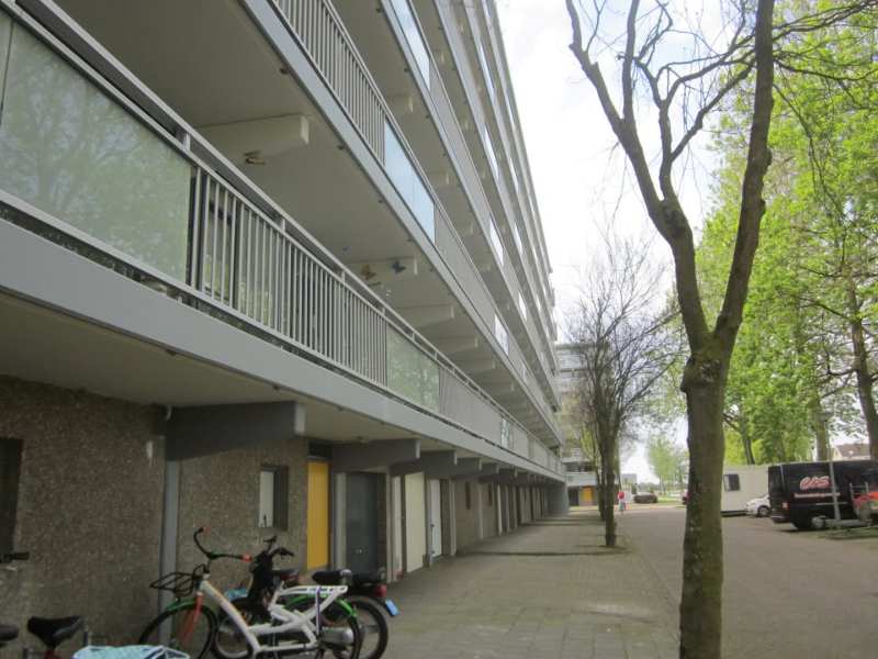 Triangelhof 89