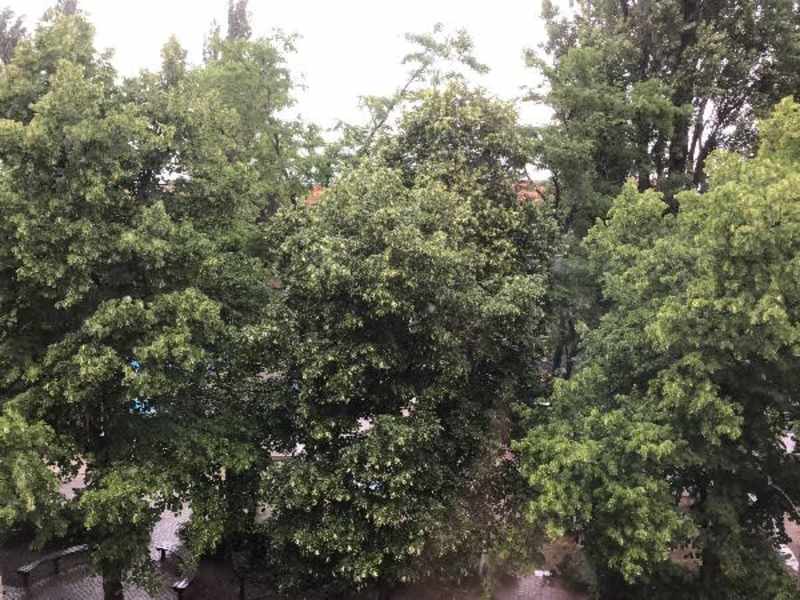 Van Hallstraat 100, 1051 HJ Amsterdam, Nederland