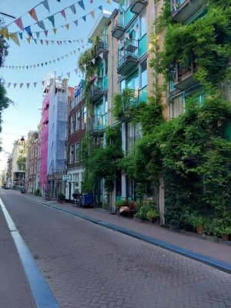 Korte Koningsstraat 15D