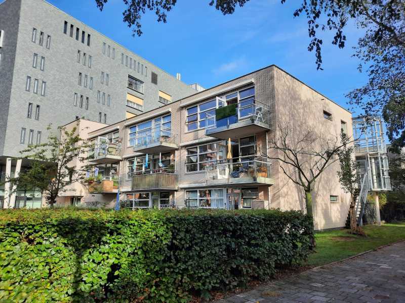 Zuidelijke Wandelweg 50