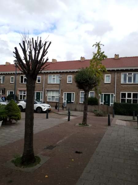 Straatje van Anna Cramer 14