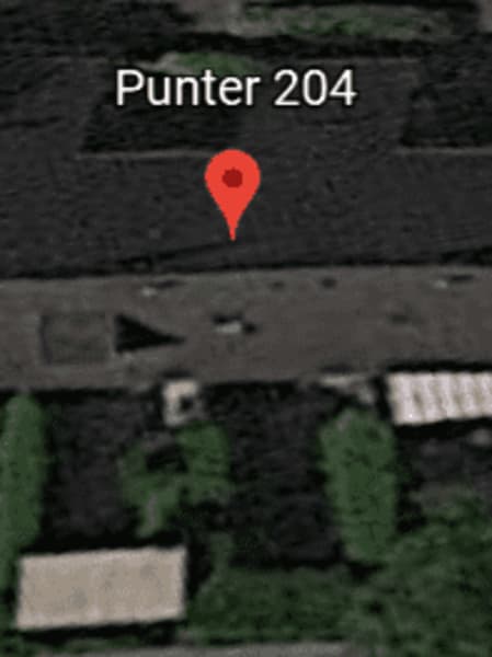 Punter 204