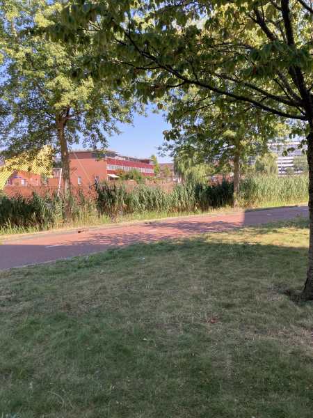 Isabella Richaardsstraat 86