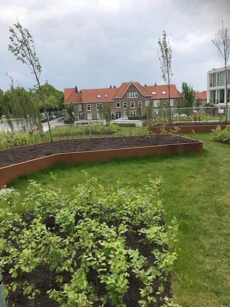 Oostzaan 215