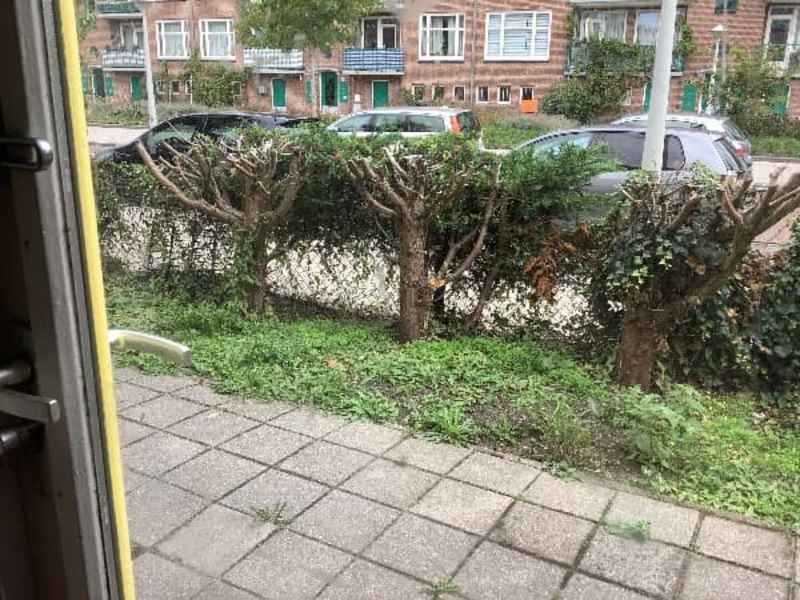 Fridtjof Nansenhof 47