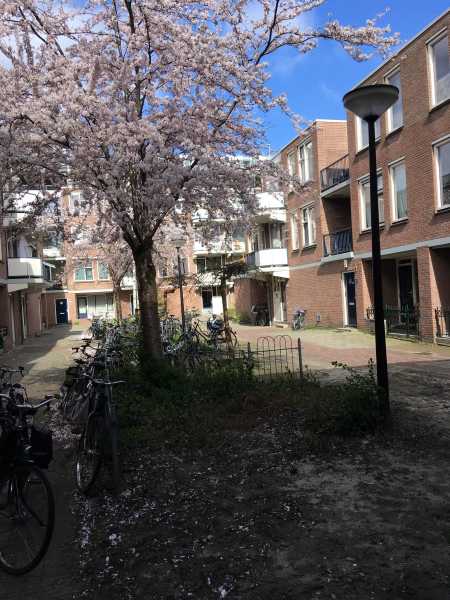 Willem Dreeshof 88, 3311 HC Dordrecht, Nederland