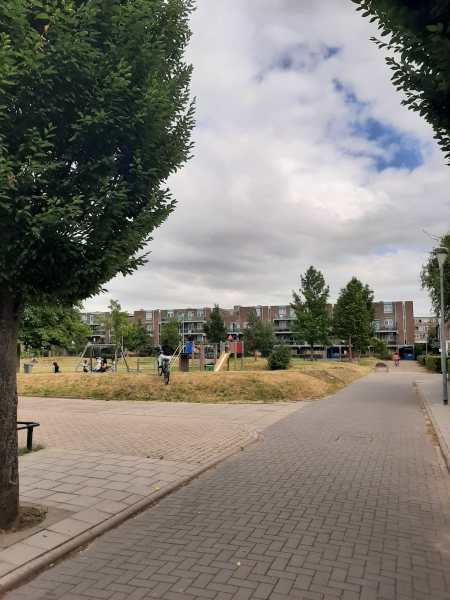 Barneveldpad 38