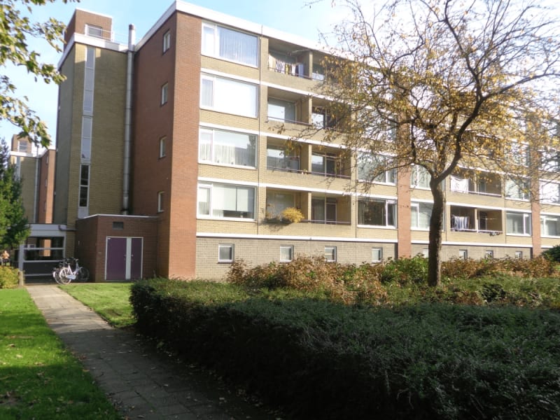 Wadenoijenlaan 97, 4001 TD Tiel, Nederland