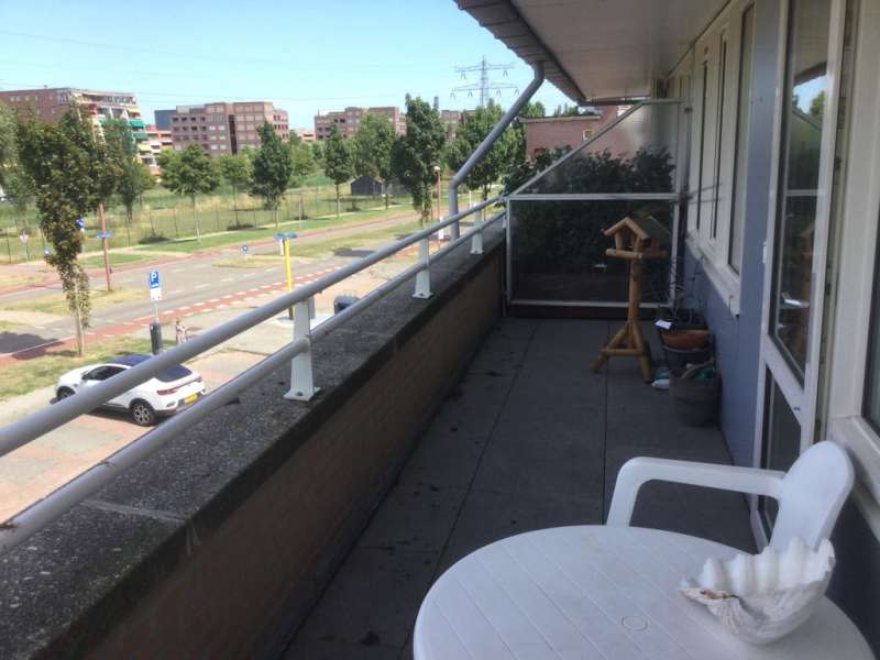 Gerard Ter Borchhage 22