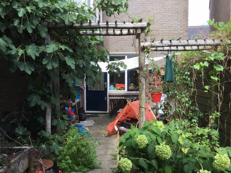 Adam van Harenstraat 33