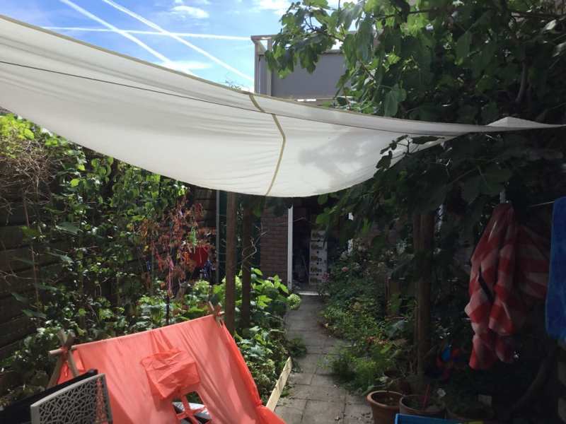 Adam van Harenstraat 33