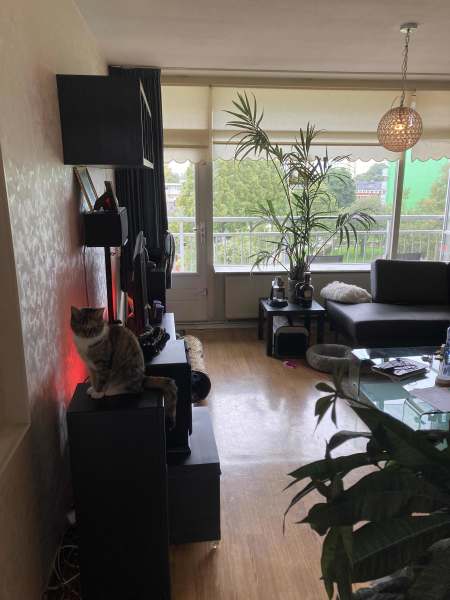 Koningsvarenstraat 108