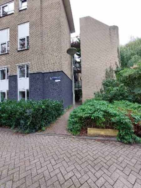 Jeltje de Bosch Kemperpad 92