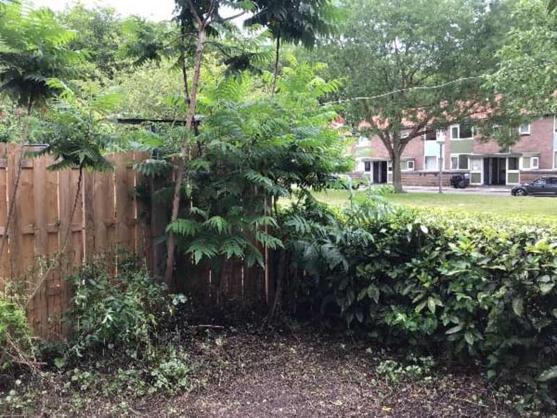 A.M. de Jongstraat 26HS