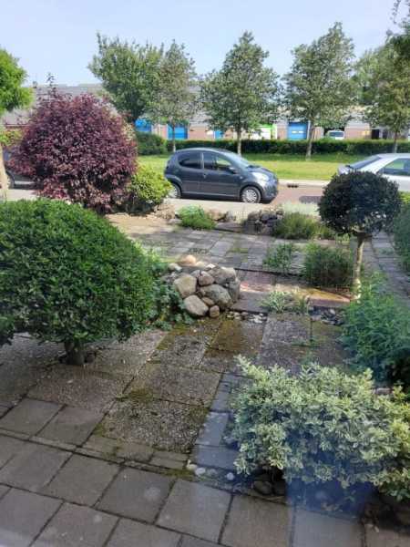 Guldewagenplantsoen 20