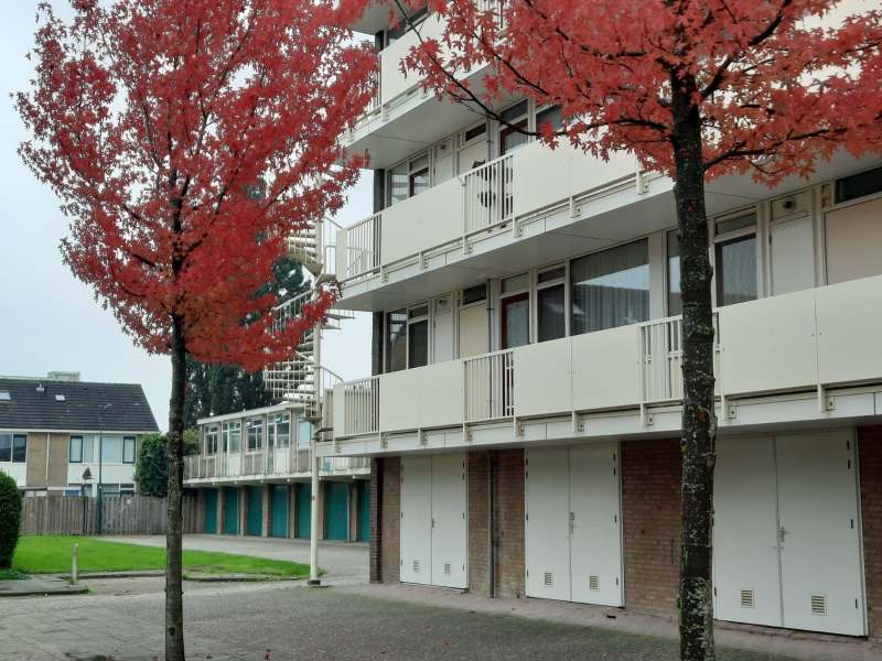 Schepersweg 246, 3621 JS Breukelen, Nederland