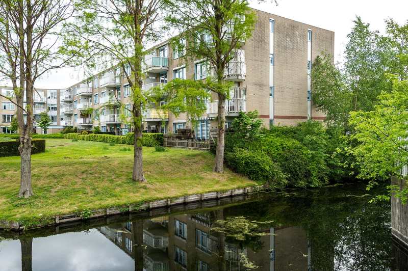 Albert Schweitzersingel 241