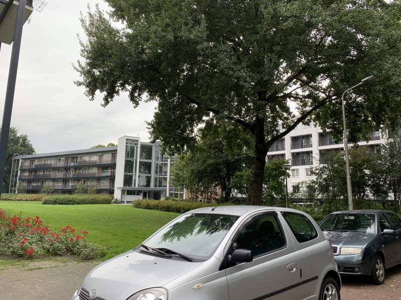 Doctor Plesmansingel 169