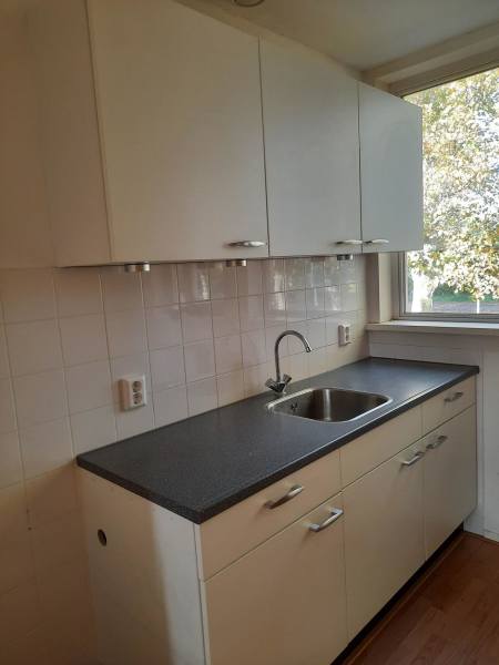 Hugo de Vrieslaan 119