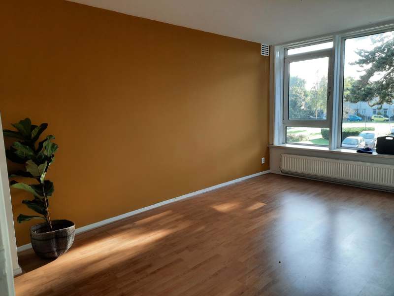 Hugo de Vrieslaan 119