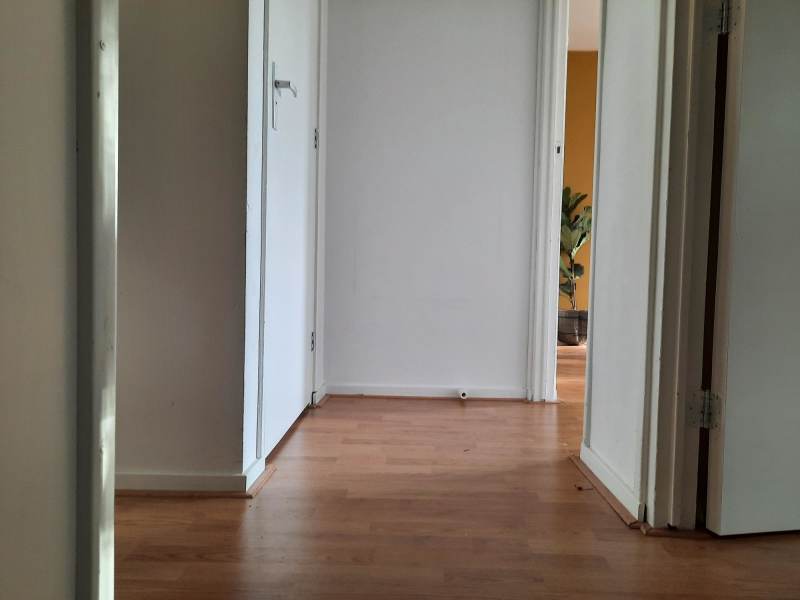 Hugo de Vrieslaan 119