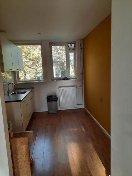 Hugo de Vrieslaan 119