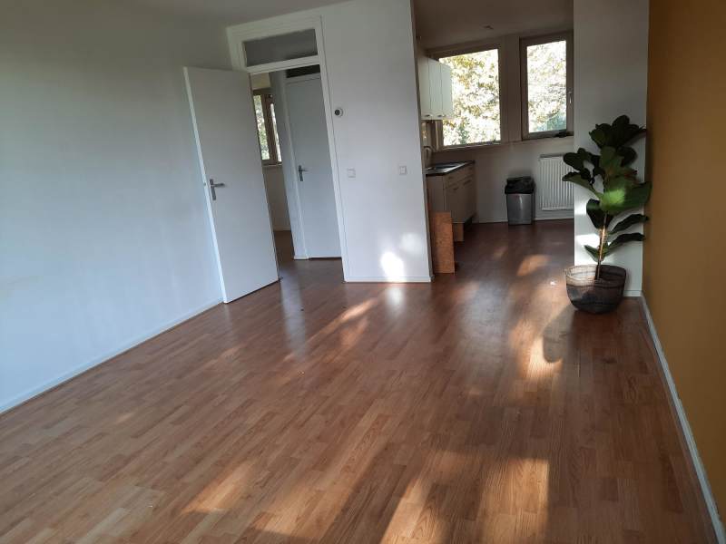 Hugo de Vrieslaan 119