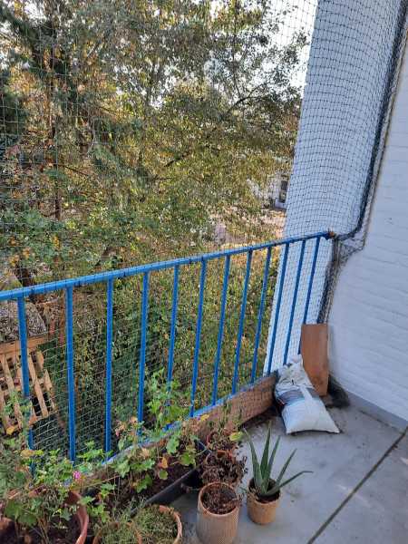 Hugo de Vrieslaan 119