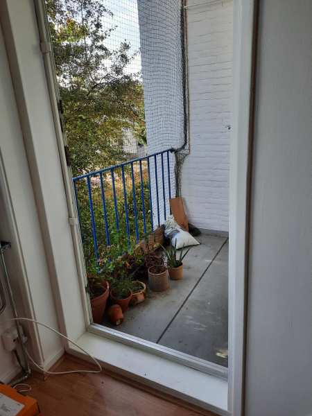 Hugo de Vrieslaan 119