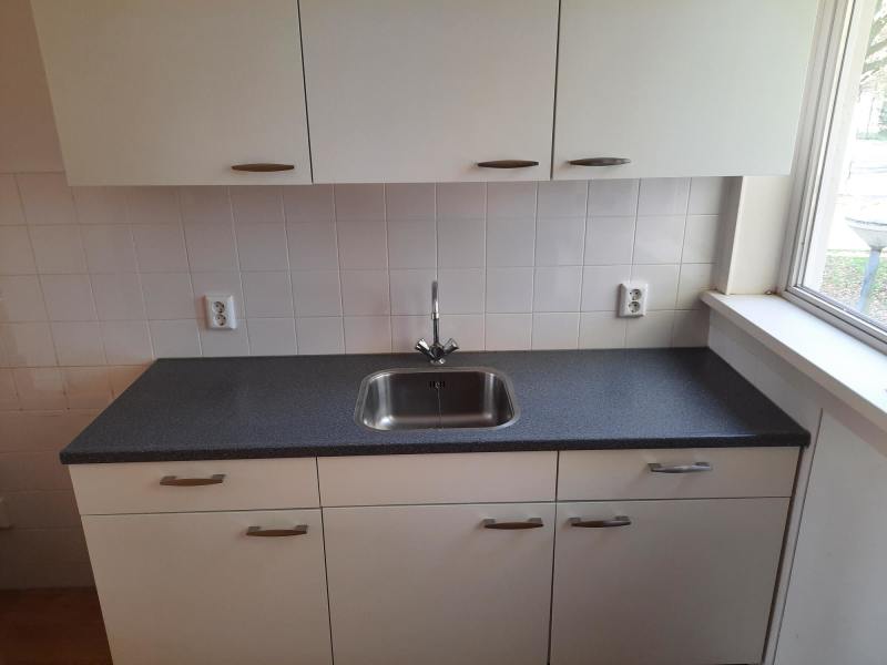 Hugo de Vrieslaan 119