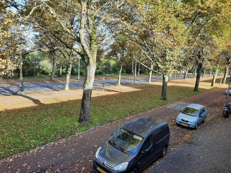 Hugo de Vrieslaan 119