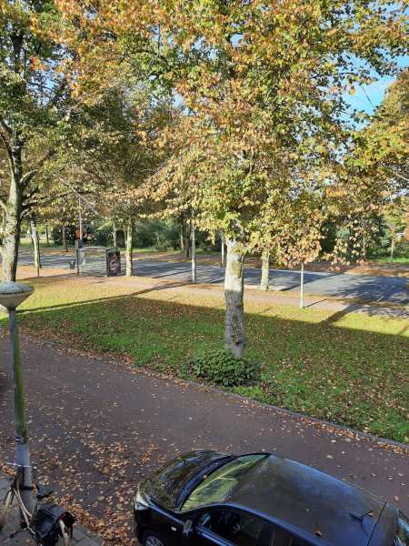 Hugo de Vrieslaan 119