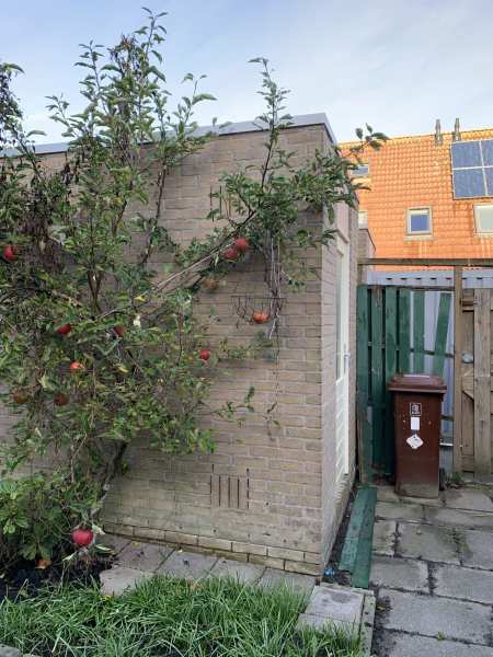 Laan van Overvliet 38