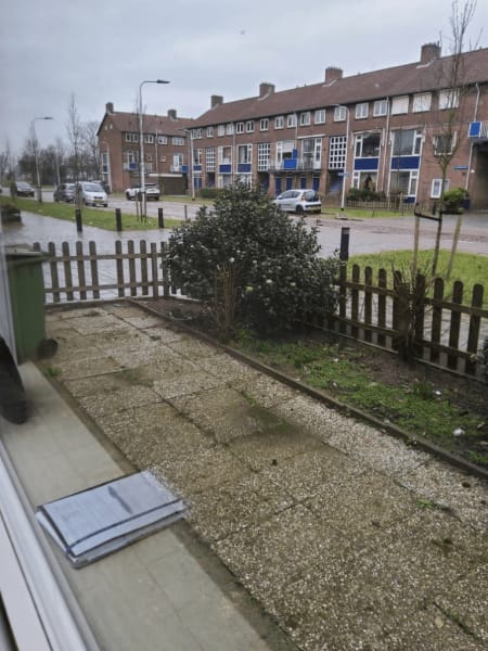 Van Leeuwenstraat 28