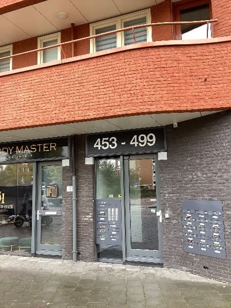 De Savornin Lohmanstraat 491