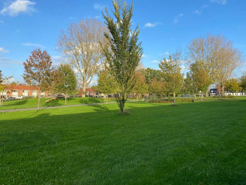 Adriaan van Alkmaarstraat 51