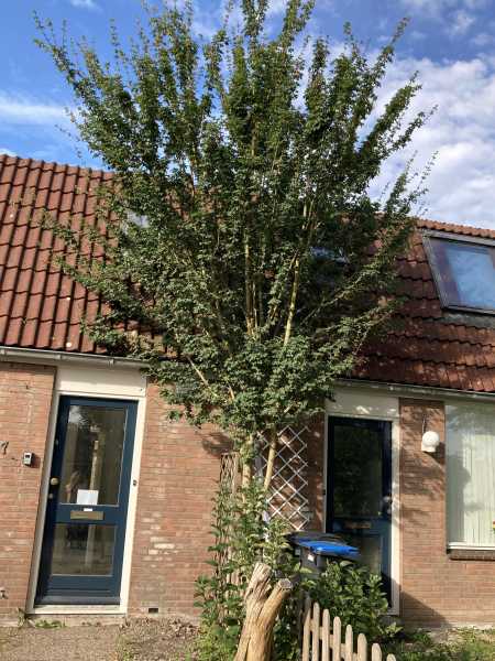 Papaverstraat 67, 1446 EM Purmerend, Nederland