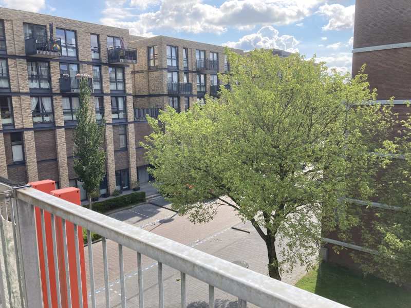 Bezaanjachtplein 186