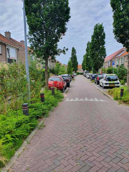 Jacobus van Waertstraat 30