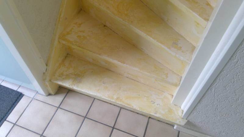 Burgemeester Dekkingstraat 21