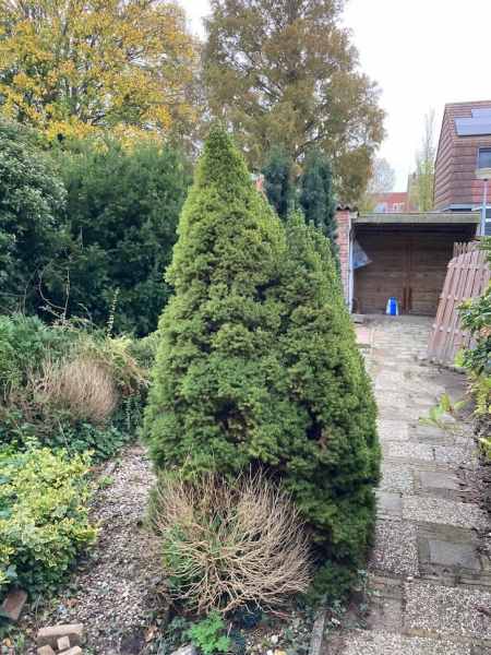 Karel Doormanstraat 7