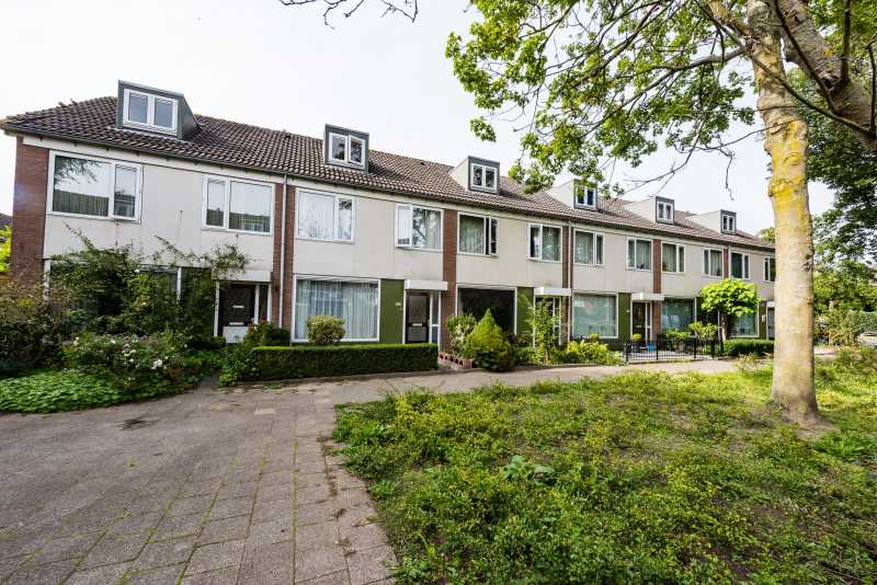 Couwenhoven 3038