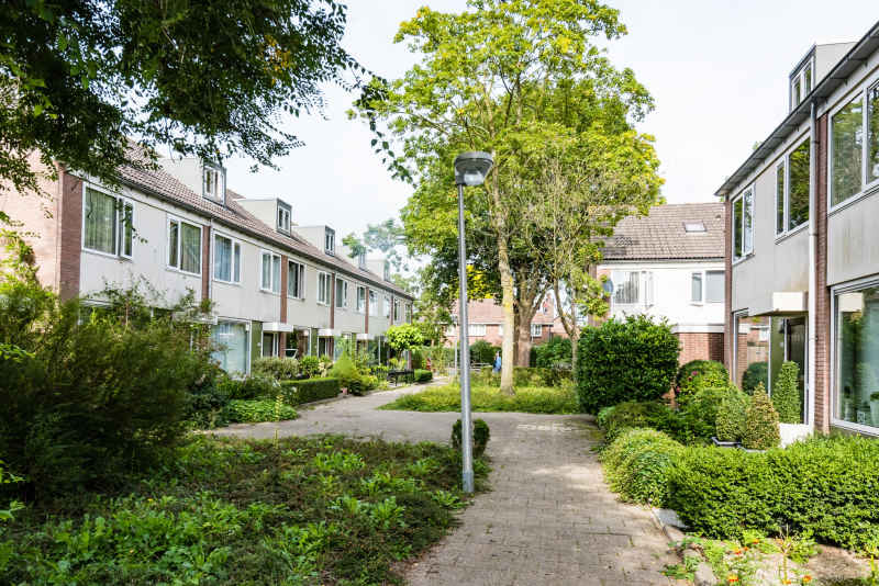 Couwenhoven 3038